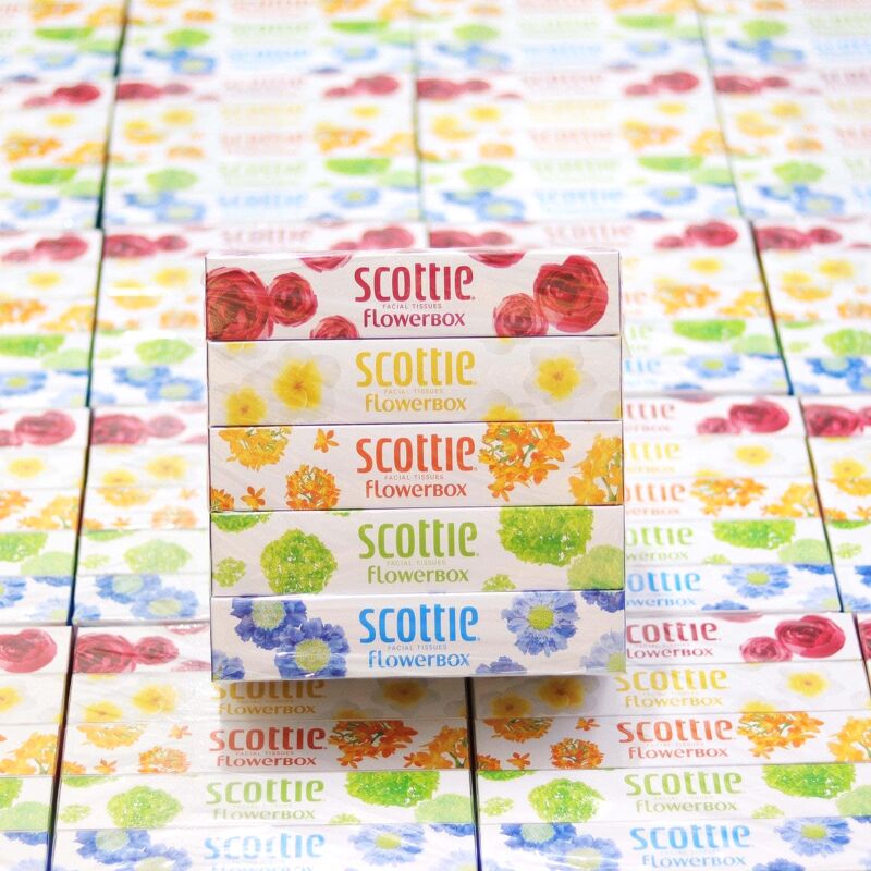 Giấy ăn Scottie set 5