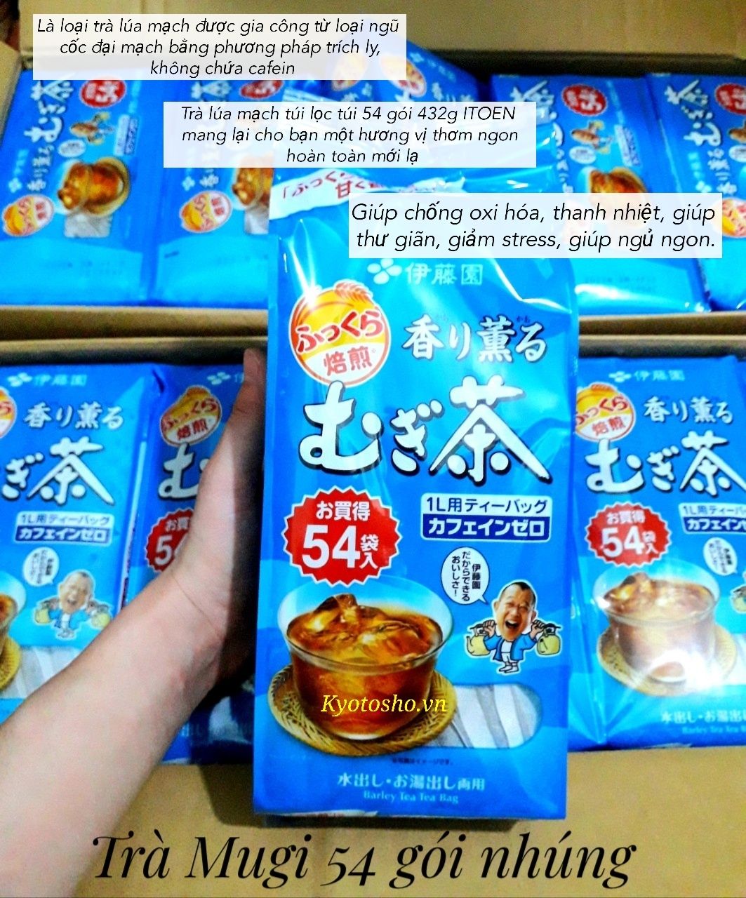 Trà Mugi 54 gói nhúng (mẫu mới)