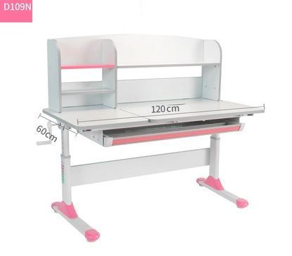 Bàn Chống Gù Cận-D109N-120x60
