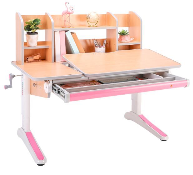 Ghế Chống Gù Cận-C303N