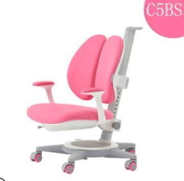 Ghế Chống Gù Cận-C5BS