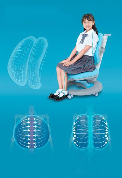 Ghế Chống Gù Cận-C103S
