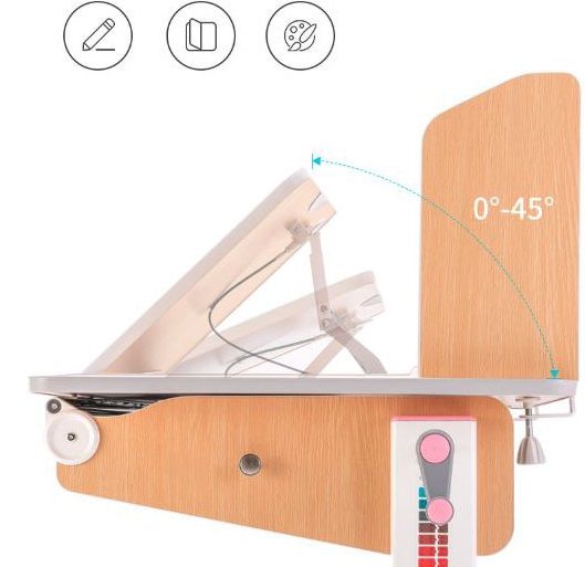 Ghế Chống Gù Cận-C303N