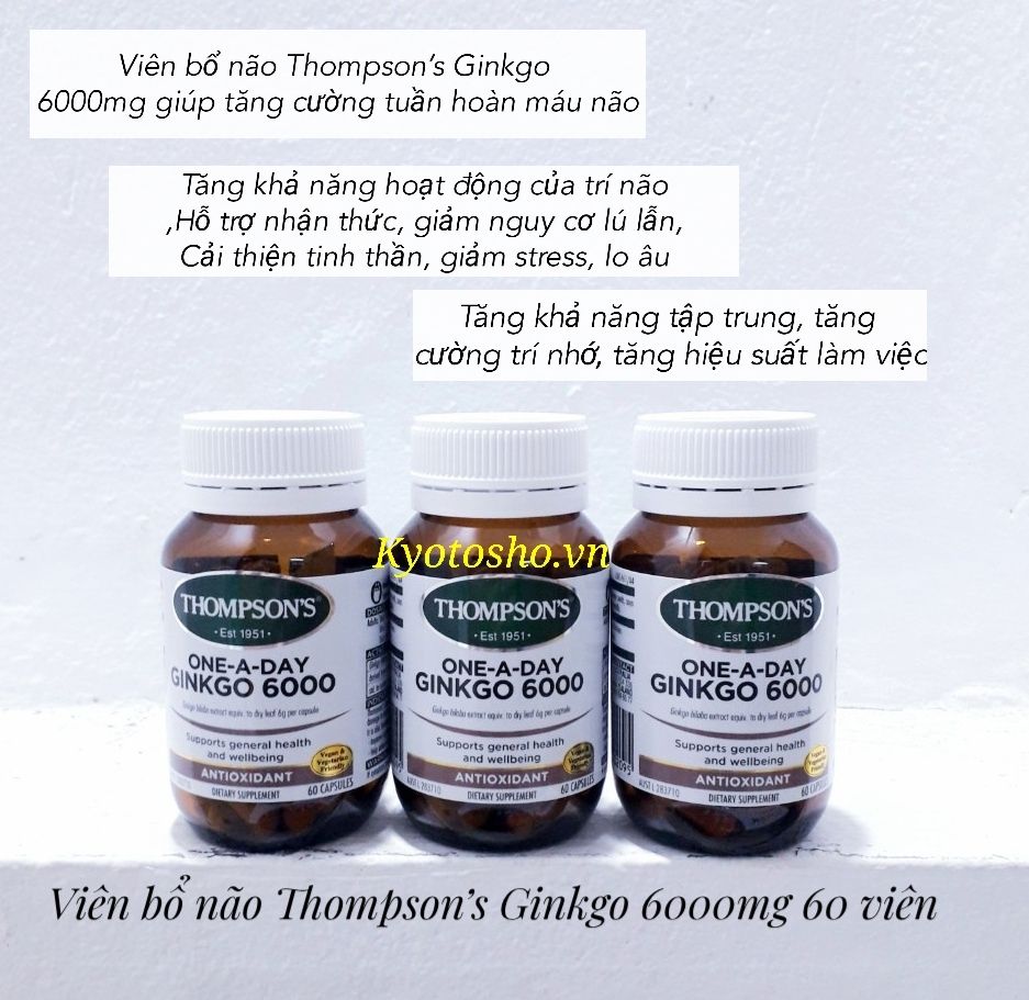 Viên uống bổ não Thompson’s Ginkgo 6000mg 60 viên