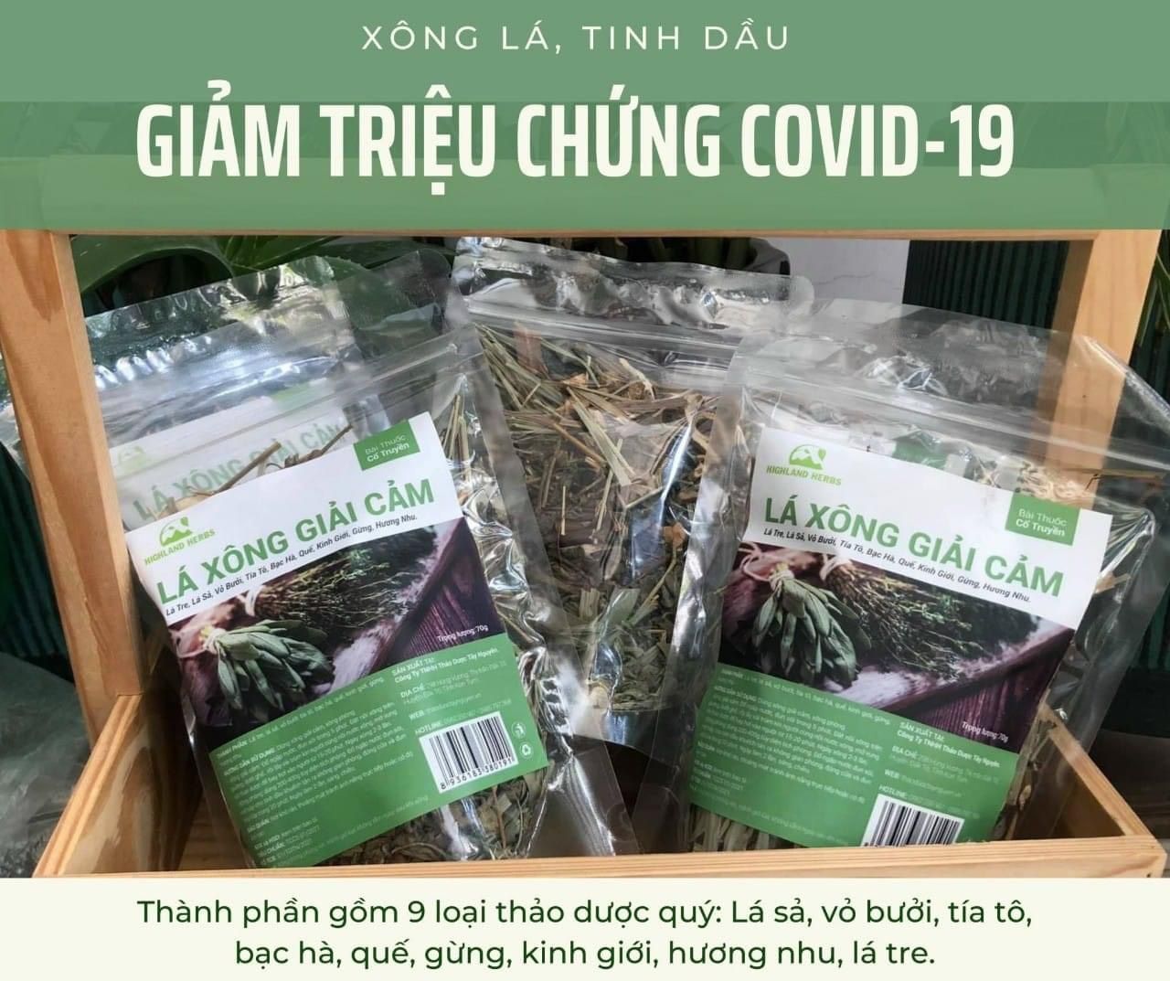Lá xông tây bắc