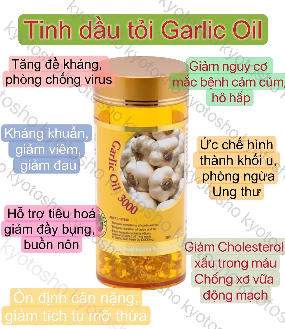Tinh dầu tỏi Garlic Oil 3000mg Spring Leaf chai 365 viên của Úc