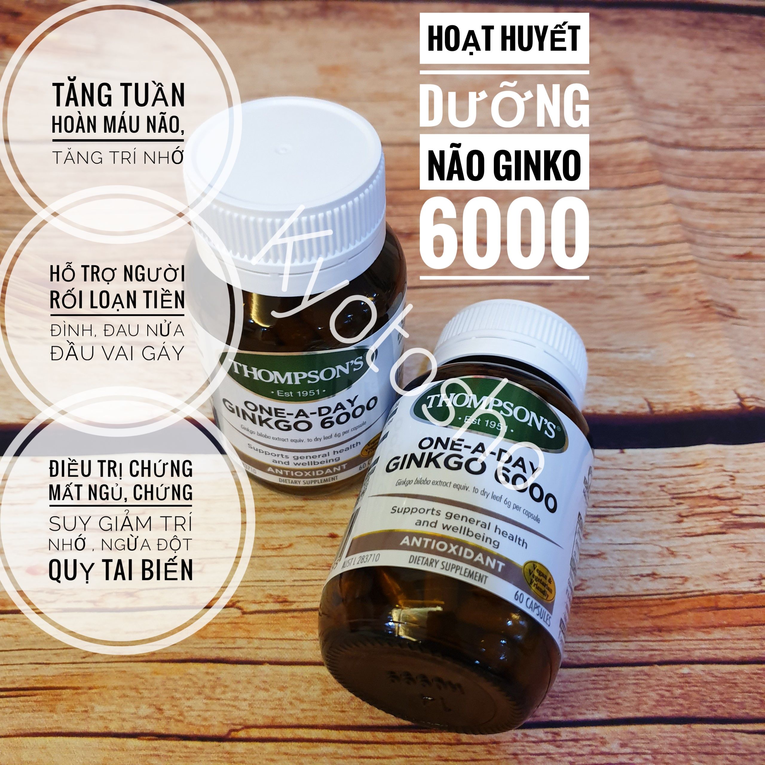 Viên uống bổ não Thompson’s Ginkgo 6000mg 60 viên