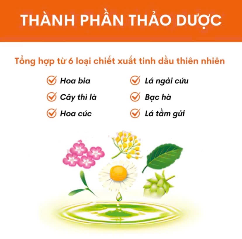 Nhuộm tóc Bigen 2g có lược chải(T27)