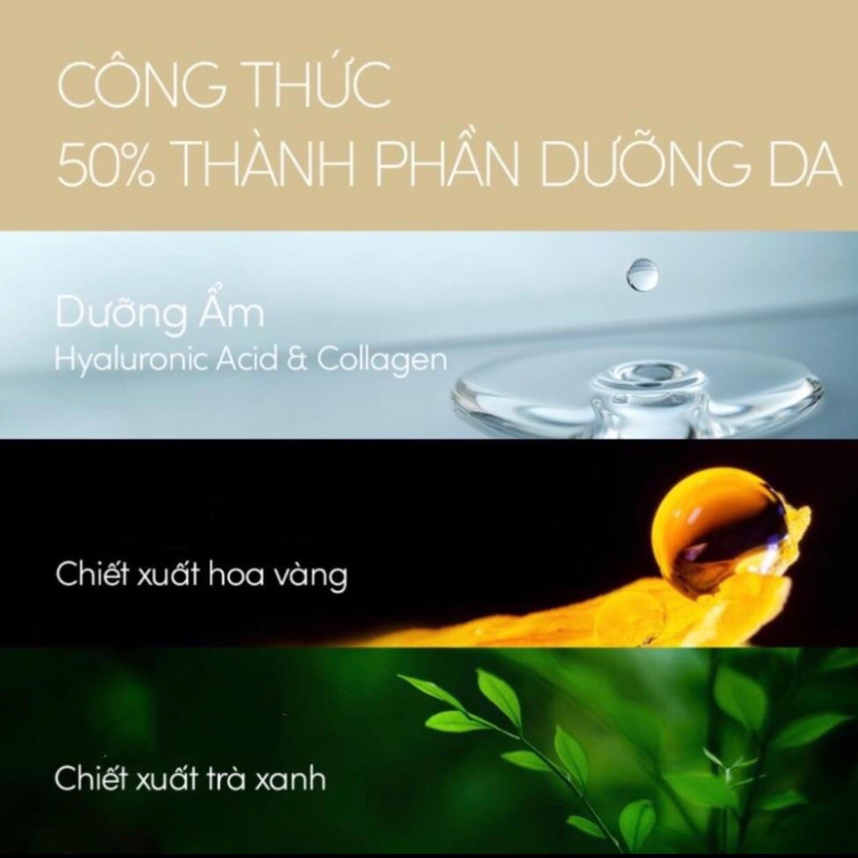 Sữa chống nắng Anessa dưỡng da kiềm dầu SPF50+ PA++++ 60ml (vàng)