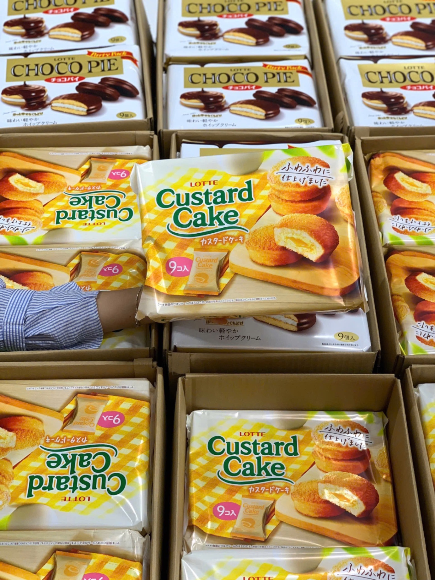 Bánh trứng Custard Nhật Bản cao cấp 9 cái