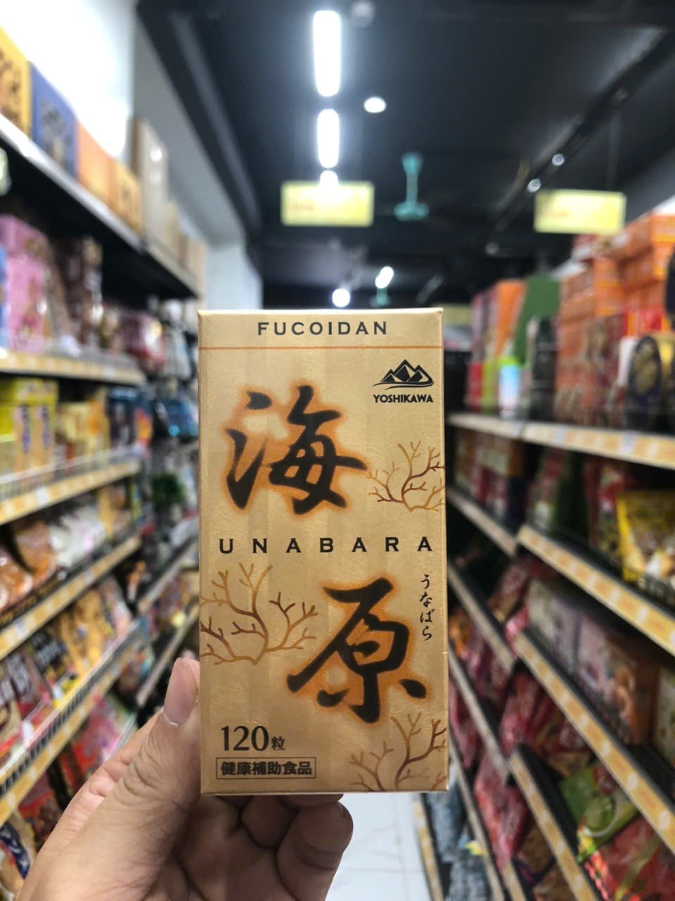 Viên uống Fucoidan vàng UNABARA 120 Viên – Hỗ Trợ Phá Ung Thư, Tăng Miễn Dịch Hàng Chính Hãng Nhật Bản