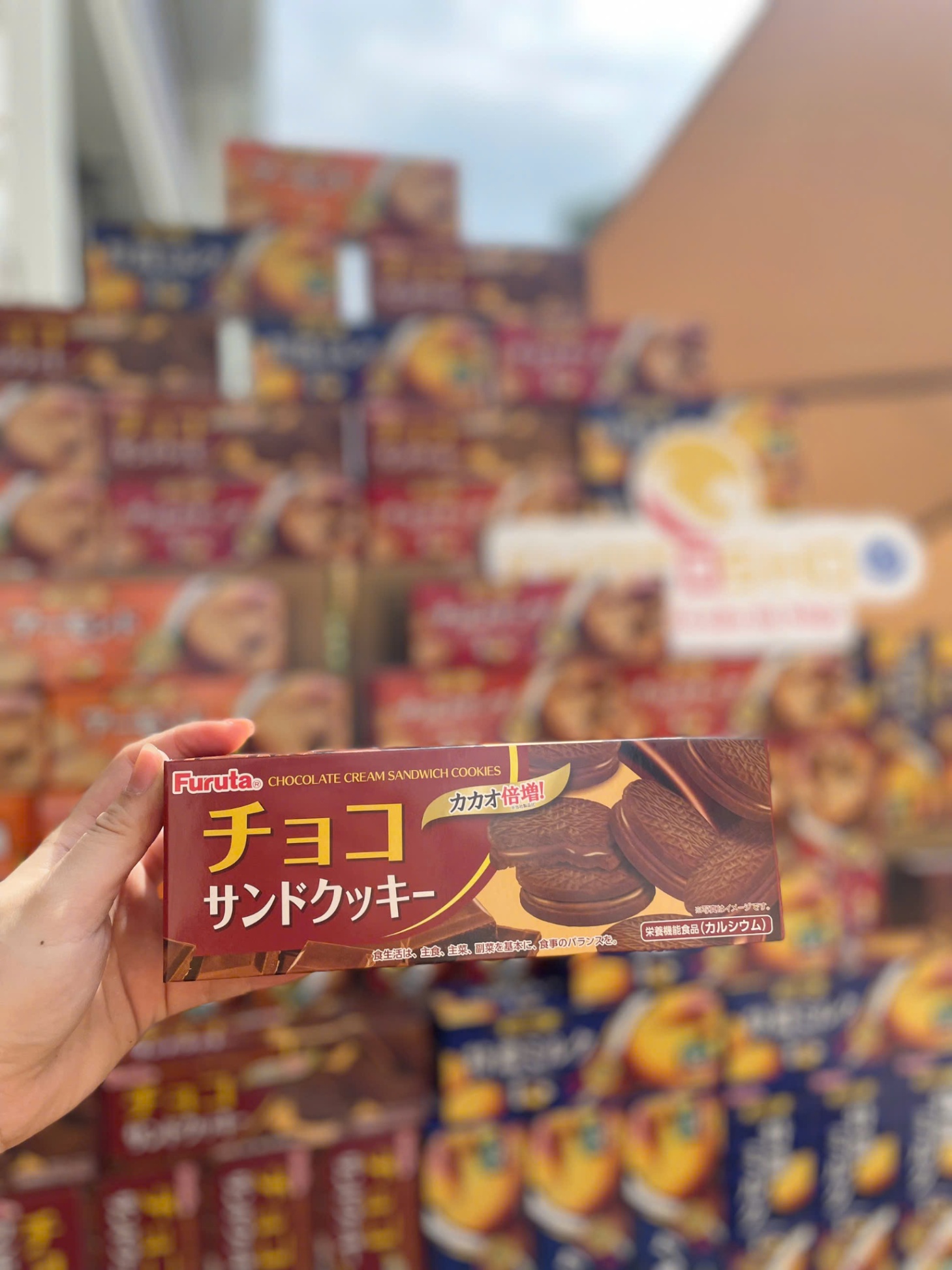 Bánh quy Furuta nhân kem socola hộp 8 cái