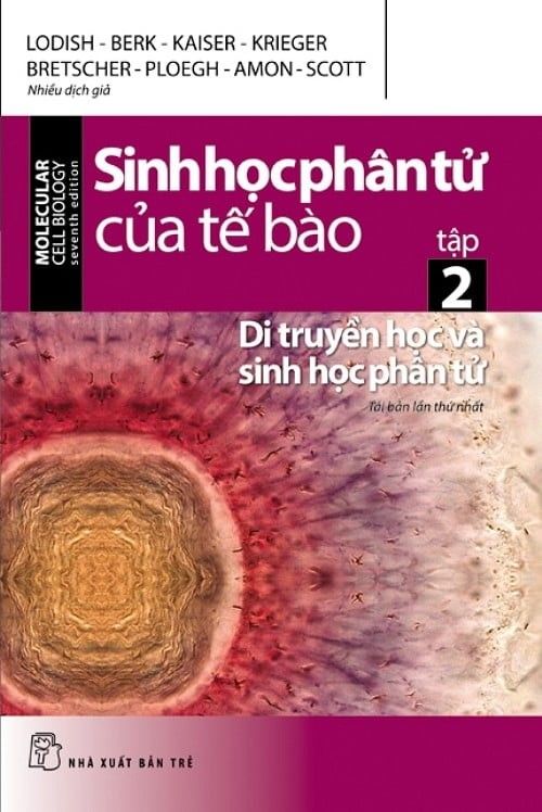 Sinh Học Phân Tử Của Tế Bào - Tập 2: Di Truyền Học Và Sinh Học Phân Tử - Sách Photocopy