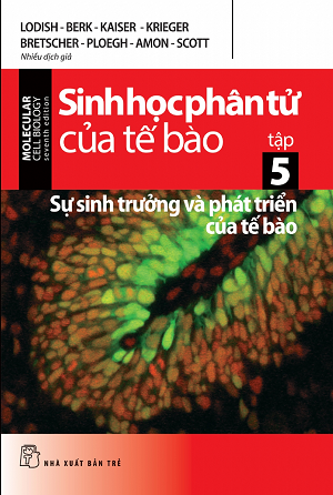 Sinh Học Phân Tử Của Tế Bào Tập 5: Sự Sinh Trưởng Và Phát Triển Của Tế Bào - Sách Photocopy