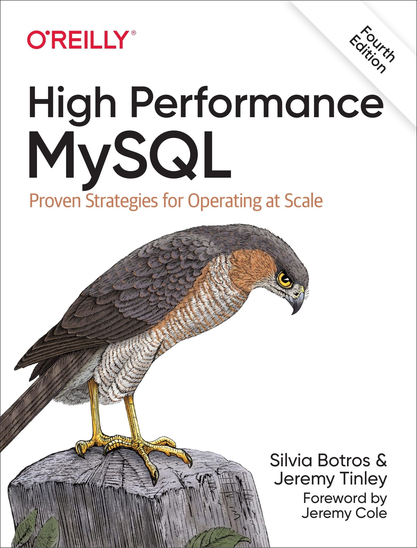 High Performance MySQL: Proven Strategies for Operating at Scale 4th Edition