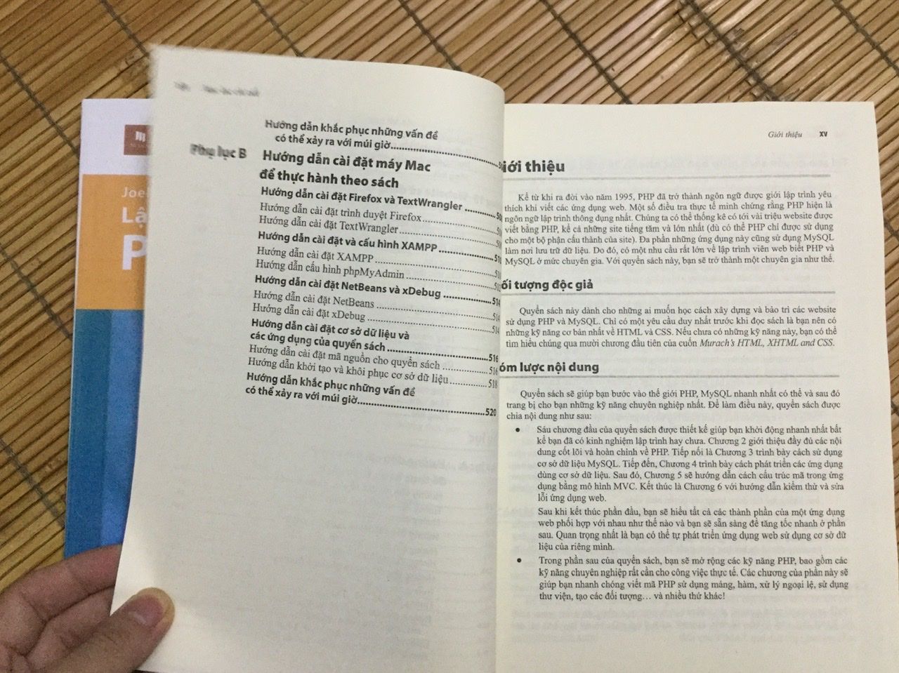 Combo 2 Sách lập trình web PHP và MySQL cơ bản và nâng cao [FPT book]