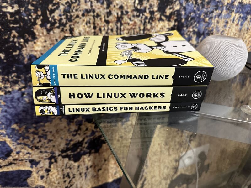 Linux Basics for Hackers, 2nd Edition: Getting Started with Networking, Scripting, and Security in Kali by OccupyTheWeb