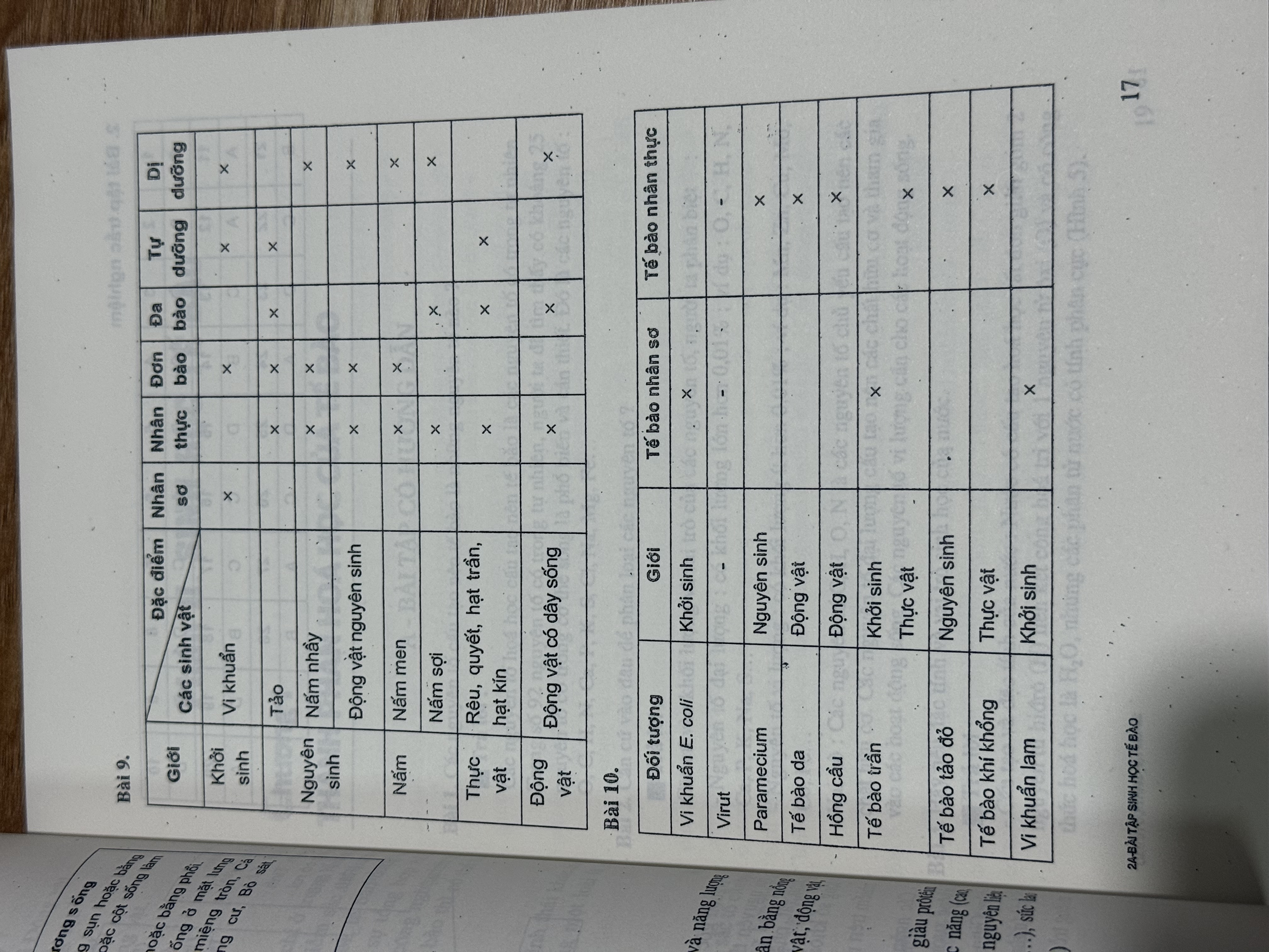 Tài Liệu Chuyên Sinh Học Trung Học Phổ Thông - BÀI TẬP Sinh học tế bào