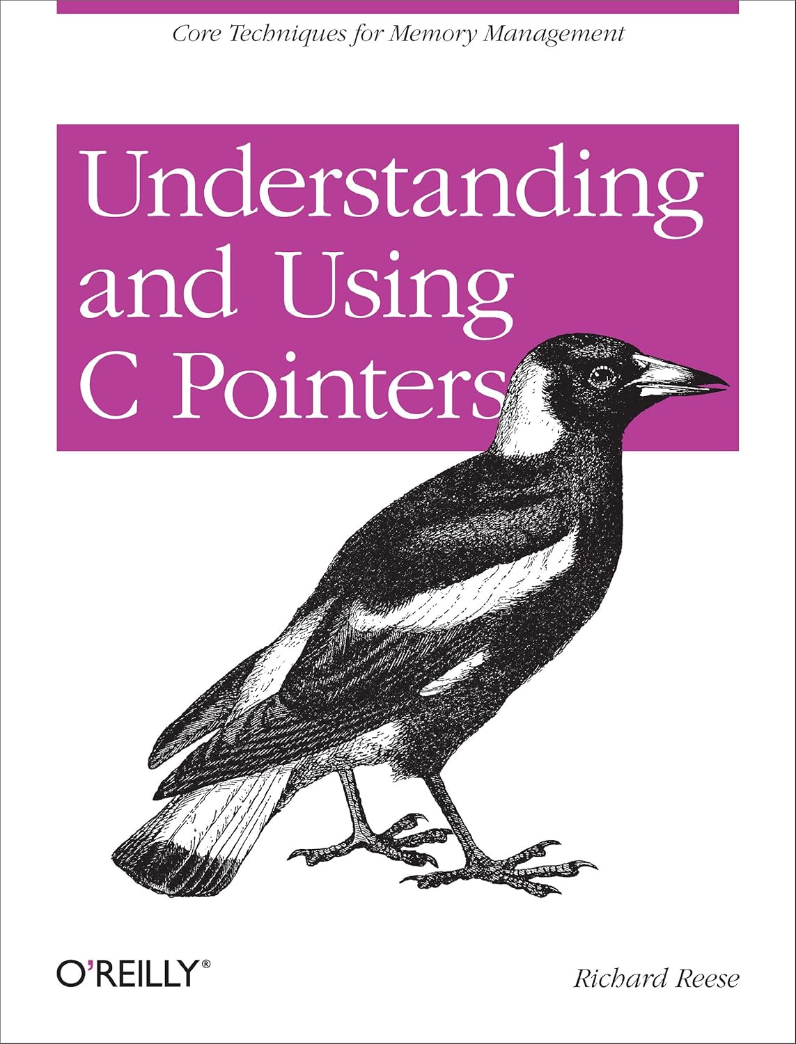 Understanding and Using C Pointers: Core Techniques for Memory ...