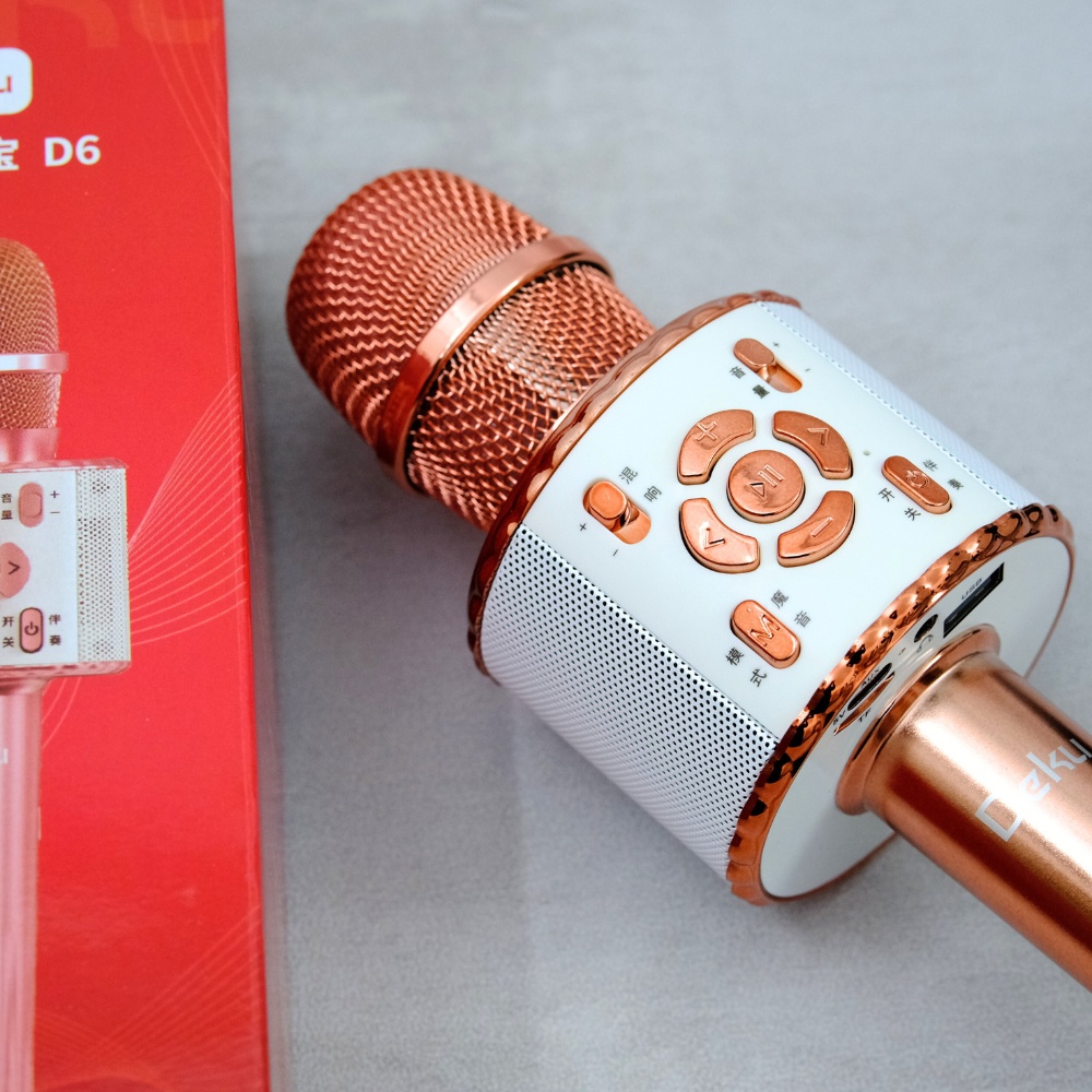 Mic hát Karaoke kèm Loa hãng DEKU D6