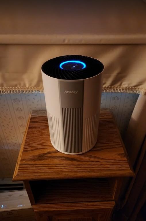Máy lọc không khí Mini Aeocky lớp lọc 5-in-1 ( Hàng Oder )
