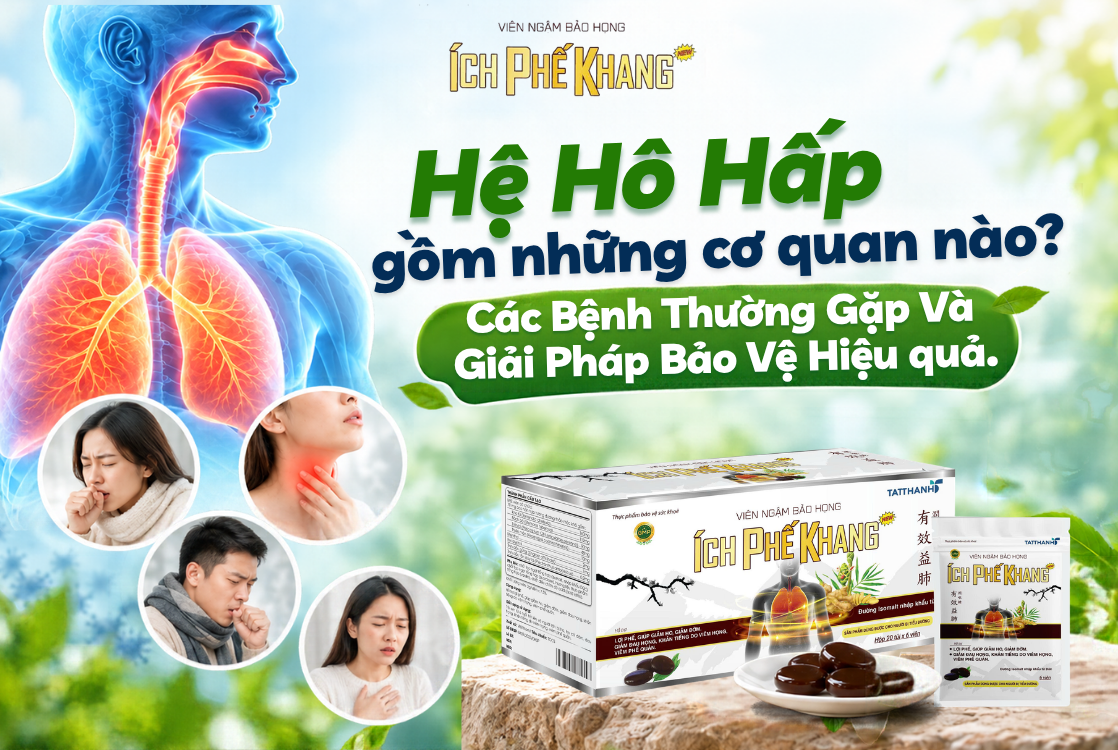 Hệ Hô Hấp gồm những cơ quan nào? Các Bệnh Thường Gặp Và Giải Pháp Bảo Vệ Hiệu quả