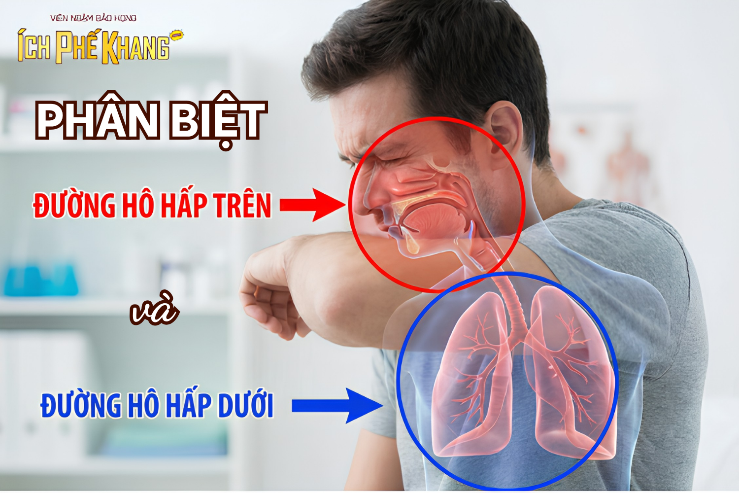 Phân biệt bệnh lý đường hô hấp trên và dưới chi tiết nhất