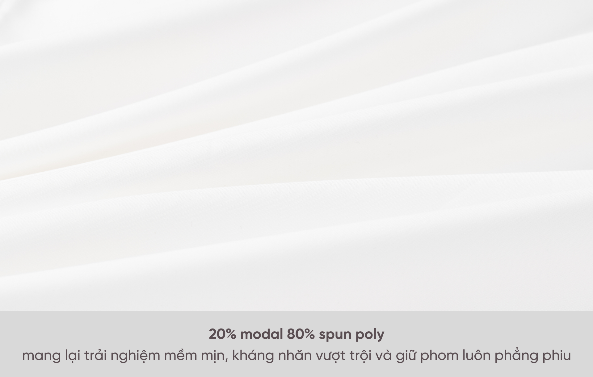 SMD.1561 04.png