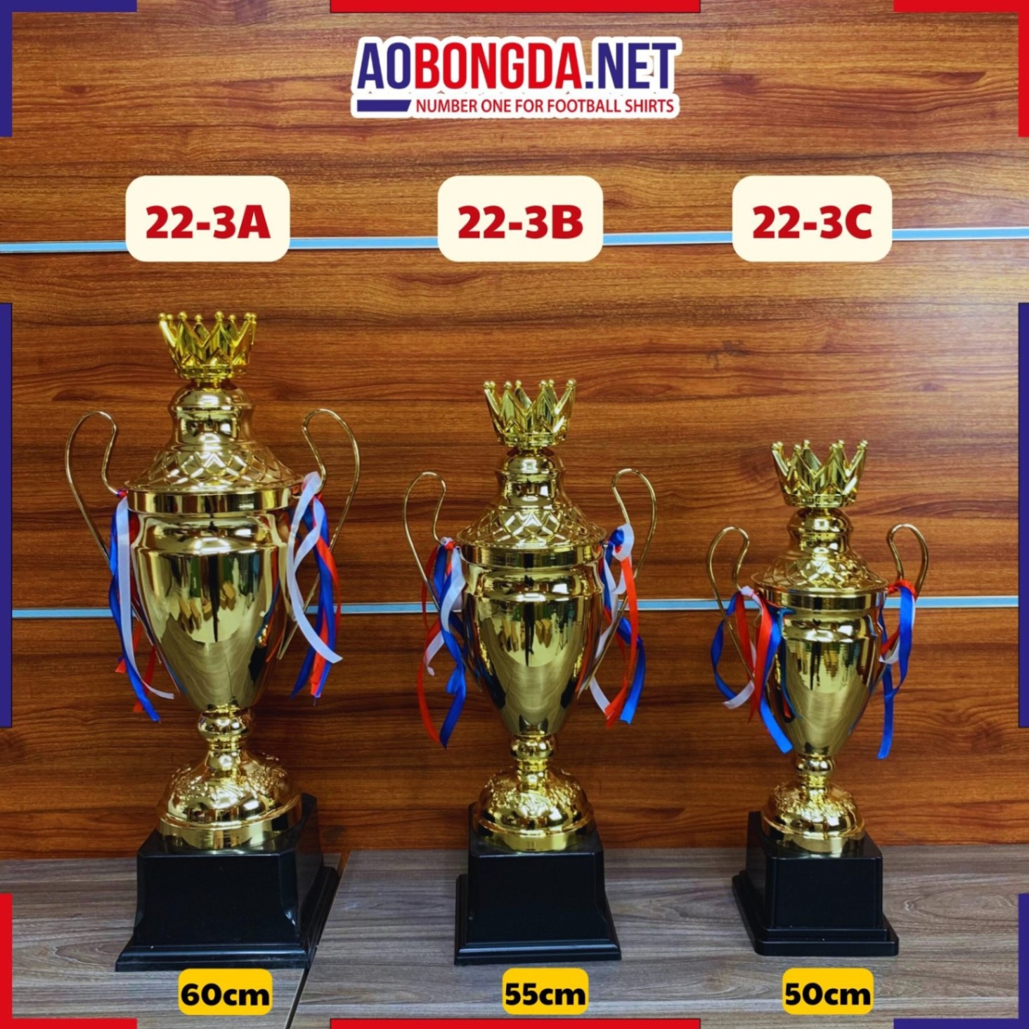 Cup 22-3