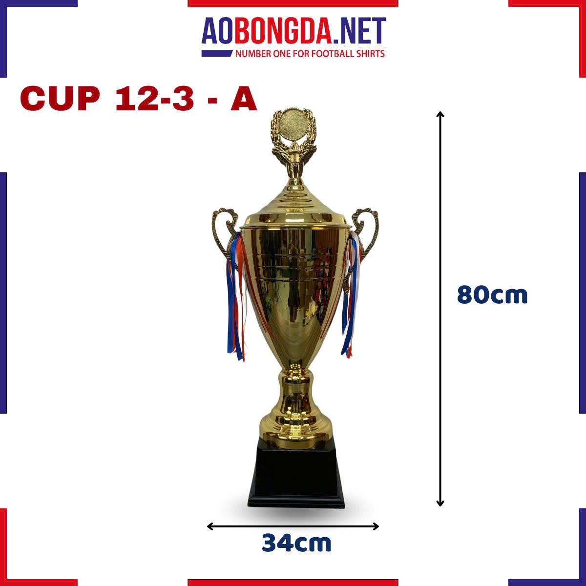 CUP 12-3