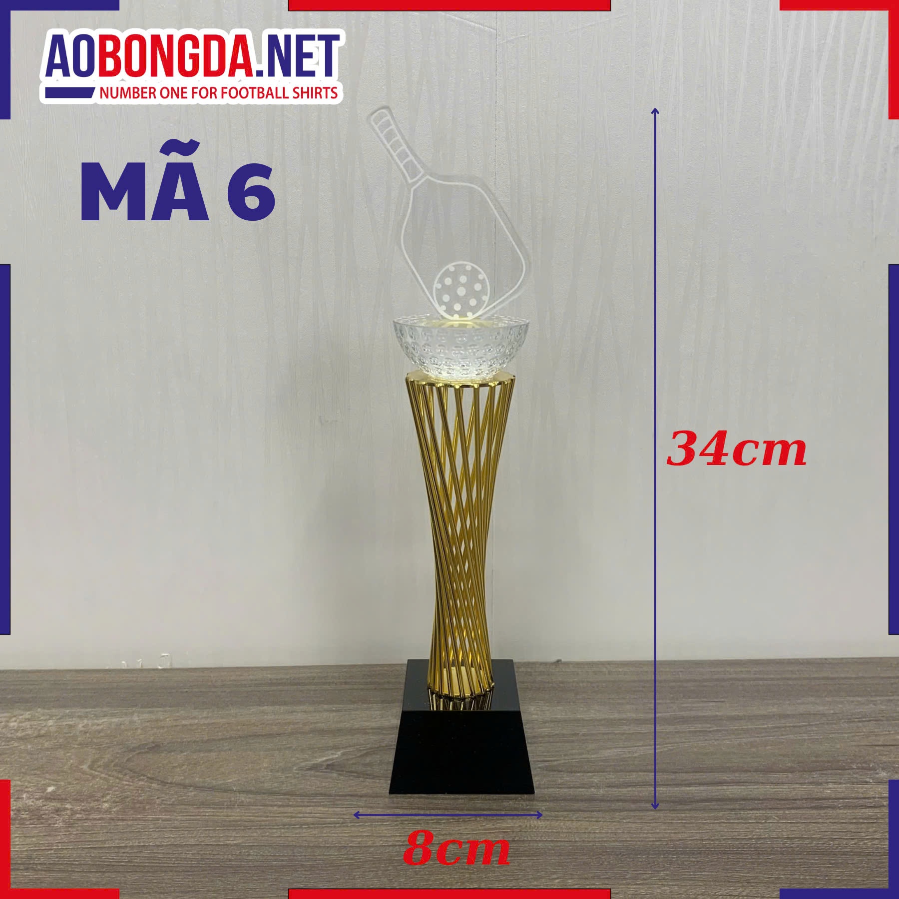 Kỷ Niệm Chương Pickleball Mã 6