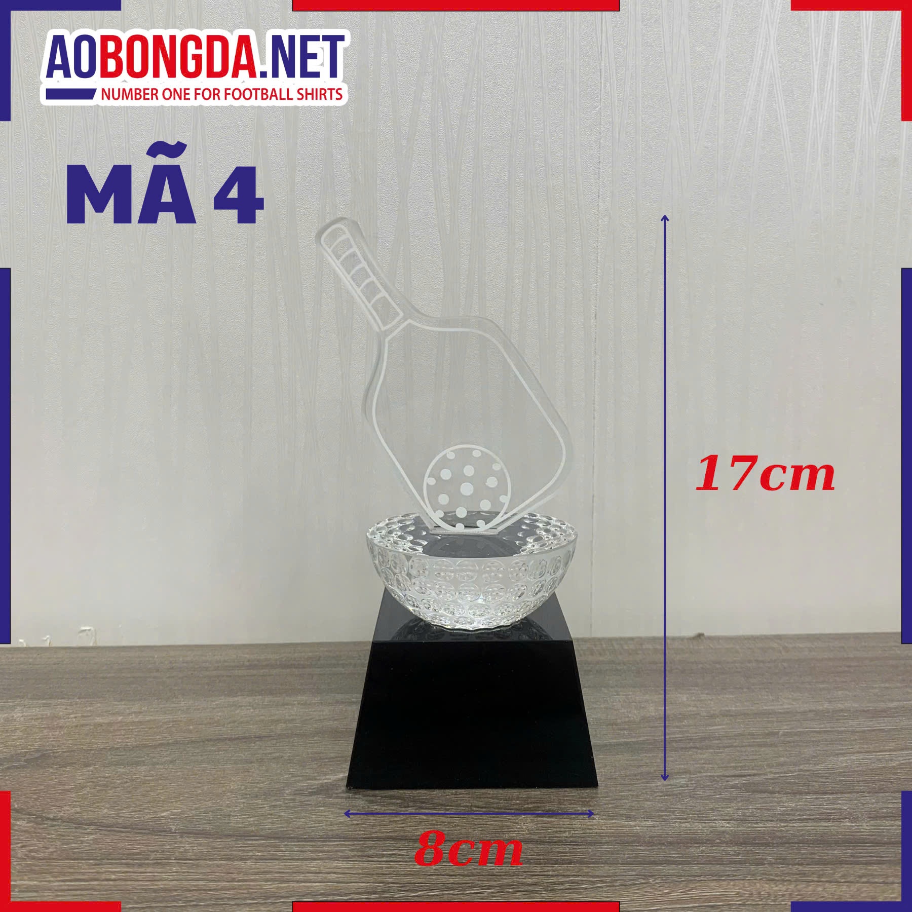 Kỷ Niệm Chương Pickleball Mã 4