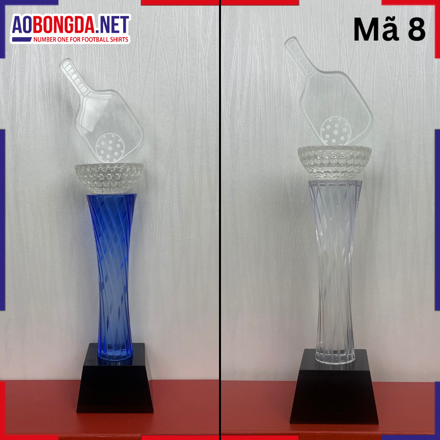 Kỷ Niệm Chương Pickleball Mã 8