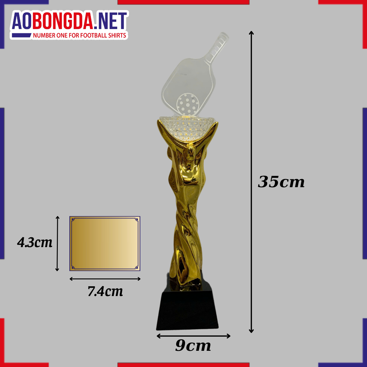 Kỷ Niệm Chương Pickleball Mã 9