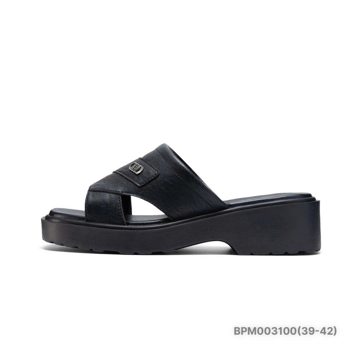 DLM BPM003100.DEN