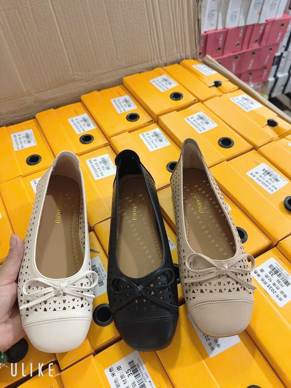 Giày nữ 26501.DEN