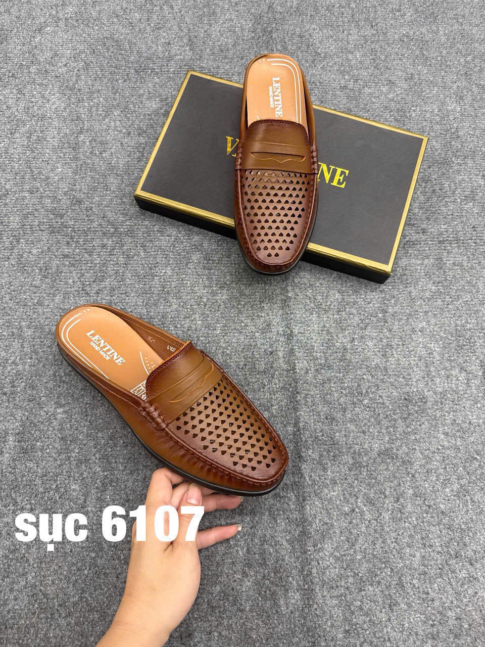 Sục nam 6107.VDB