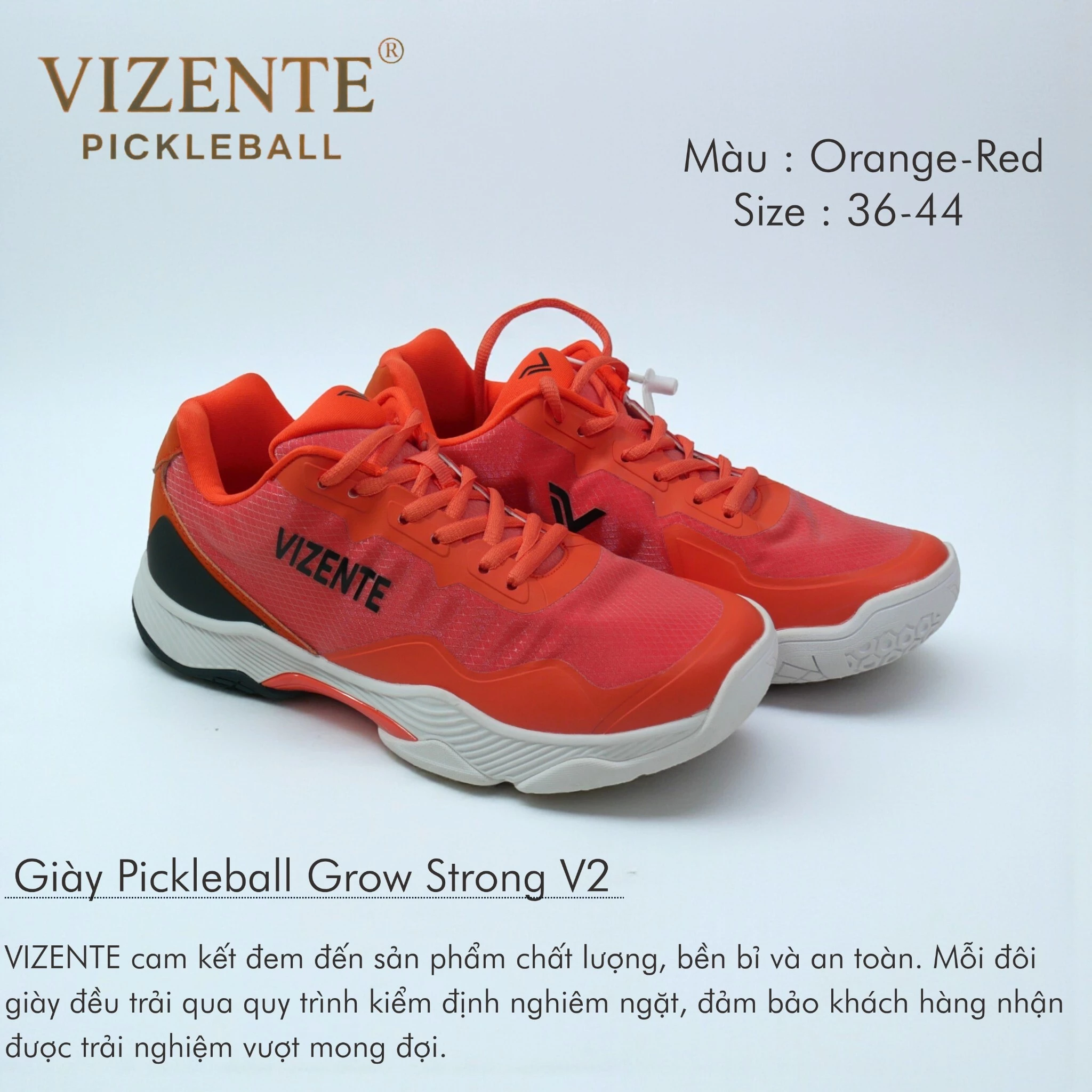 Giầy thể thao Pickcleball VIZENTE GROW STRONG V2