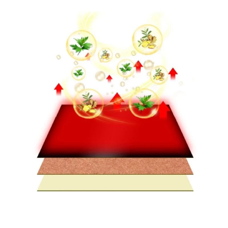 50 Miếng Dán Gừng