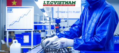 Khám Phá Găng Tay Ansell 11-800: Lớp Phủ Nitrile Đa Năng Cho Ngành Hóa Chất