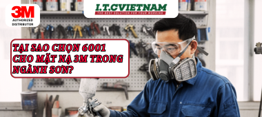 Tại sao chọn 6001 cho mặt nạ 3M trong ngành sơn?