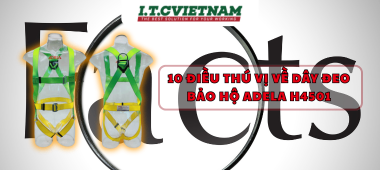 10 điều thú vị về Dây đeo bảo hộ Adela H4501