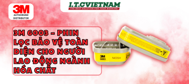 Phin Lọc 3M 6003 | Bảo Vệ Hô Hấp Hiệu Quả Khỏi Hơi Hữu Cơ & Khí Axit
