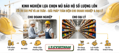 Kinh nghiệm mua mũ bảo hộ số lượng lớn cho doanh nghiệp