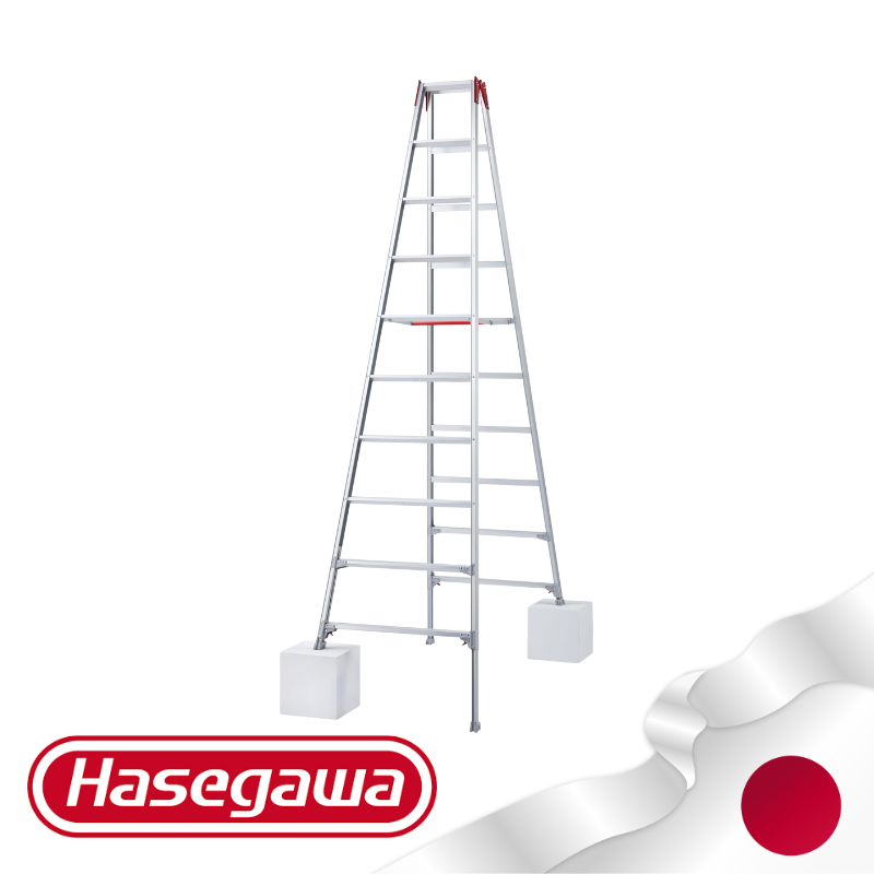 Thang đa chức năng Hasegawa RYZ