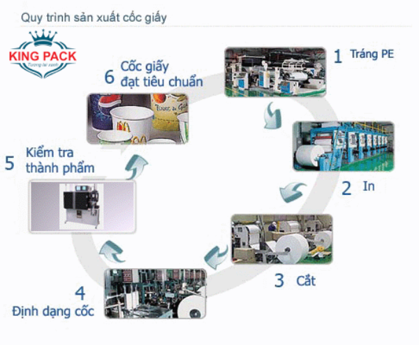 Quy trình in ly giấy, cốc giấy tại Kingpack