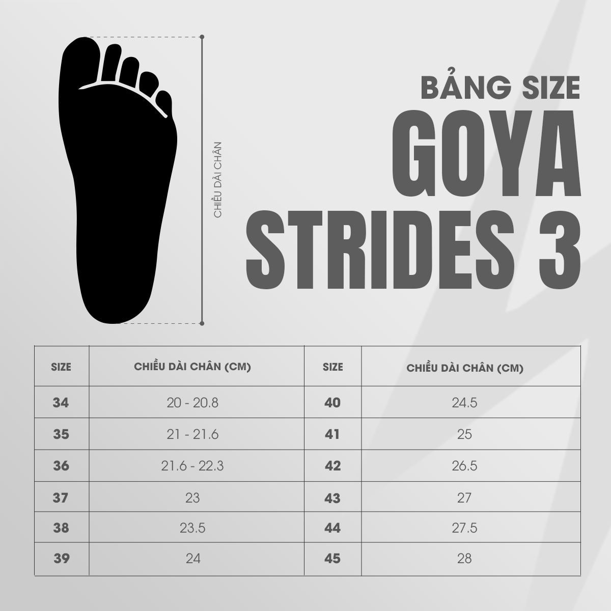 GIAY-CHAY-BO-GOYA-STRIDES-3-5-HONG-1.png?v=1773999492