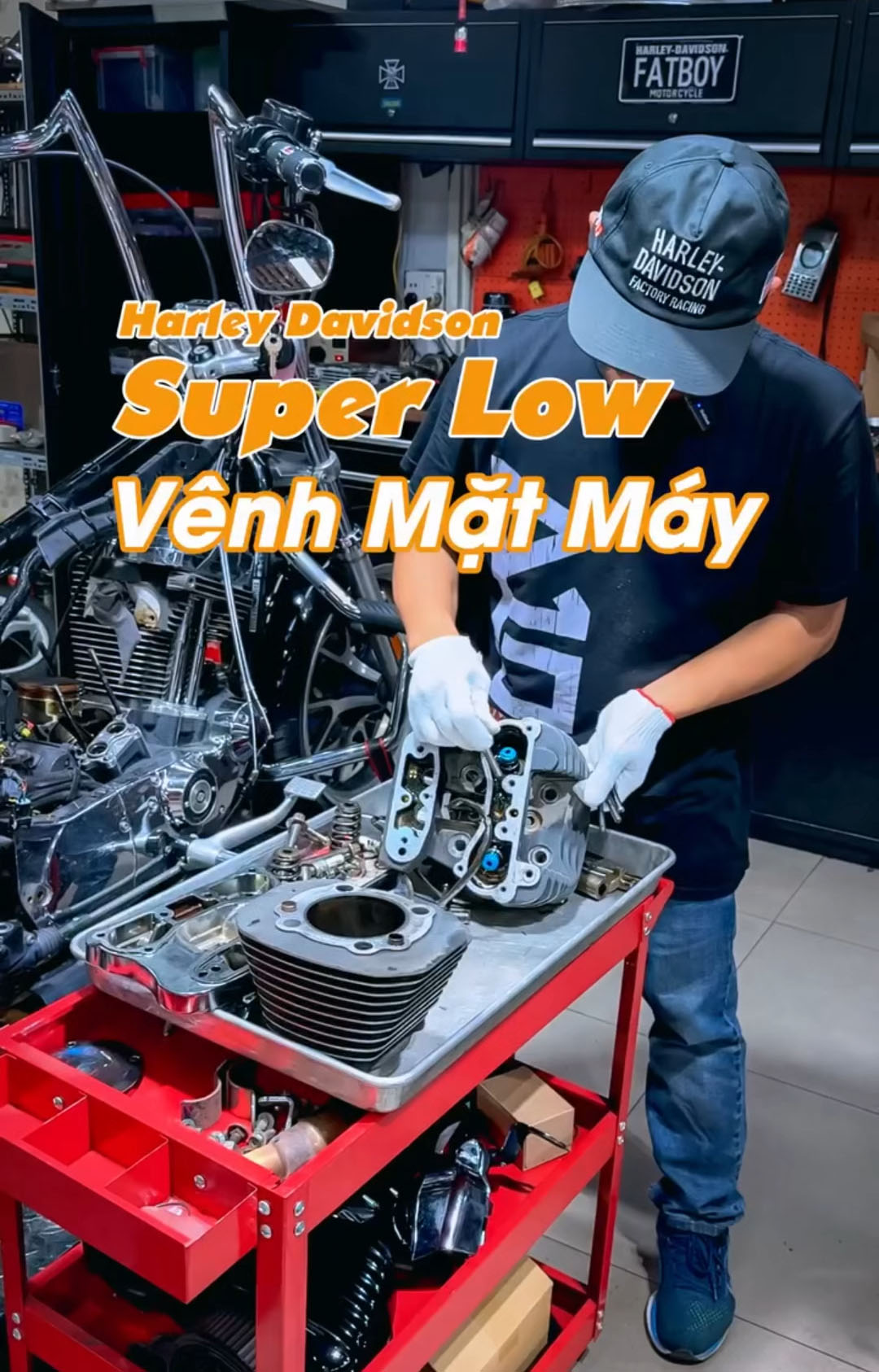 Tiep-nhan-Harley-Davidson-SuperLow-Qua-nhieu-hang-muc-sai-tieu-chuan-hang-1.jpg