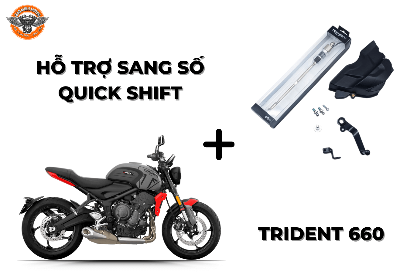 HỖ TRỢ SANG SỐ HIỆU TRIUMPH LẮP TRIDENT 660