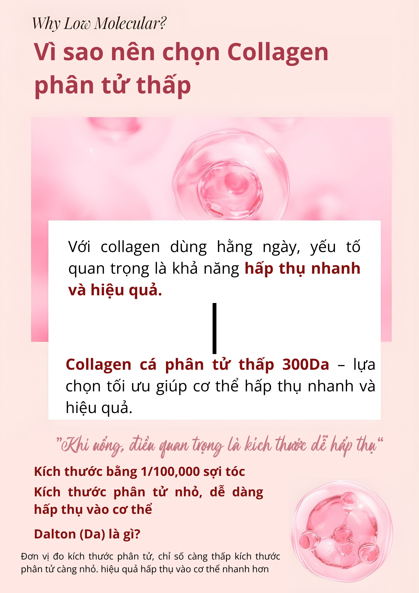 All-In-One-Daily-Low-Molecular-Marine-Collagen-43.png?v=1776935960